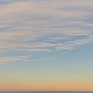 Meet your Posher, Daisy